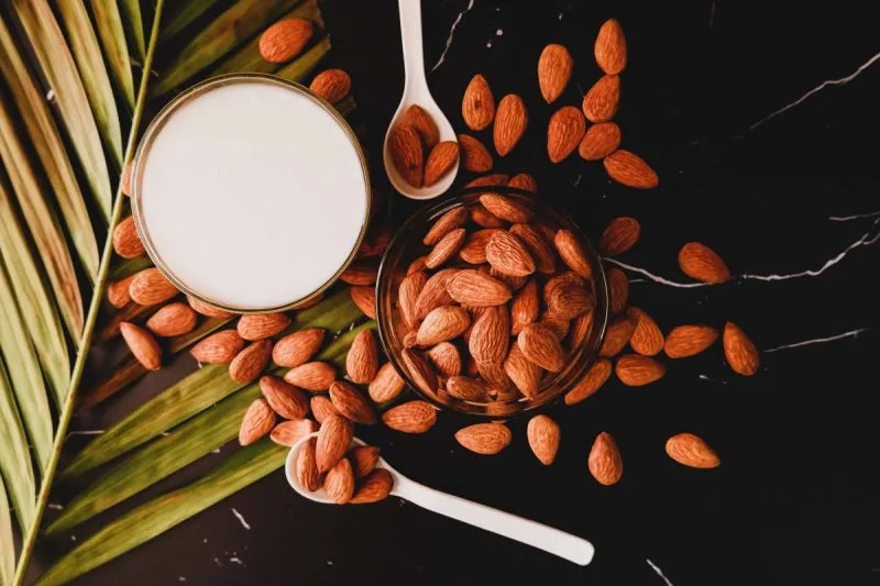 Can You Eat Almonds With Braces?