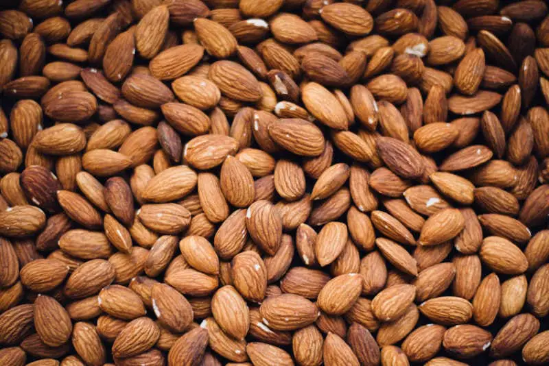 Can You Eat Almonds With Braces? - Is The Healthy Snack Still Safe 2 Can You Eat Almonds With Braces?