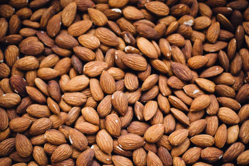 Can You Eat Almonds With Braces? - Is The Healthy Snack Still Safe 2 Can You Eat Almonds With Braces?