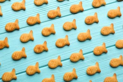 Can You Eat Goldfish With Braces - Goldfish Crackers