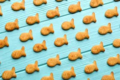 Can You Eat Goldfish With Braces - Goldfish Crackers