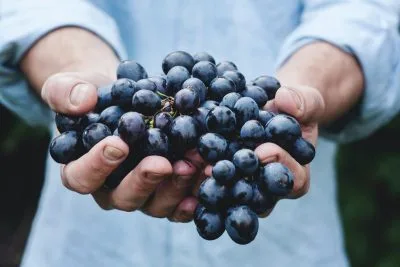 Can You Eat Grapes With Braces