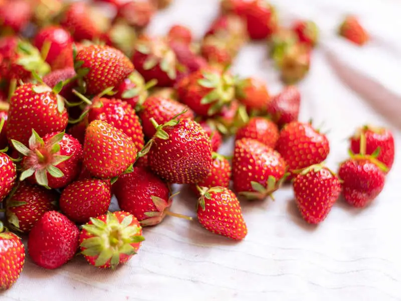 Can You Eat Strawberries With Braces? With Cream, In Smoothies, Chocolate Covered Too! 2 Can You Eat Strawberries With Braces